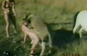 Video Zoofilia đơn giản là hấp dẫn nhất